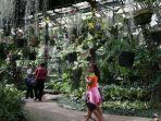 griya-anggrek-kebun-raya-bogor.jpg