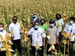 grobogan-siap-suplai-kebutuhan-jagung-peternak.jpg