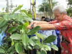 gubernur-jateng-ganjar-pranowo-menanam-nangka_20171201_132147.jpg
