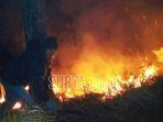 gunung-arjuno-terbakar_2.jpg