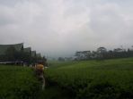 gunung-dempo-diselimuti-kabut-asap_20180801_142358.jpg