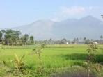 gunung-guntur_20150720_091123.jpg