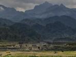 gunung-kelud-lokasi_20150812_121921.jpg