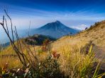 gunung-merbabu_20170815_171109.jpg