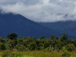 gunung-palung_20160309_110038.jpg