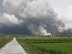 gunung-semeru-erupsi_20221204_170140.jpg