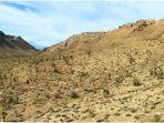 gurun-mojave.jpg