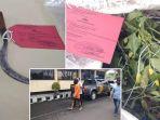 habisi-terduga-pencuri-cabai-bocah-17-tahun-di-sleman-ditangkap-polisi-terancam-7-tahun-bui.jpg