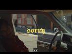 halsey-sorry.jpg