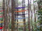 hammock-diikat-di-antara-pohon-pinus-di-top-selfie-pinus-kragilan.jpg