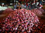 harga-bawang-merah-meroket_20150325_105751.jpg