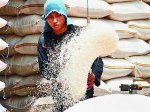 harga-beras-melonjak-di-pasaran.jpg