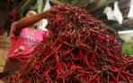 Harga Pangan Hari Ini: Cabai Keriting Tembus Rp 50.000, Bawang Merah Rp 29.520 Per Kilogram
