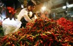 harga-cabai-rawit-merah-masih-tinggi_20150111_164035.jpg