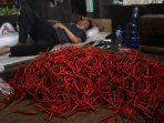 harga-cabe-merah-keriting-tinggi_20160314_130938.jpg