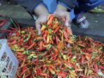 harga-cabe-rawit-merah-tinggi-di-jakarta_20210304_211500.jpg