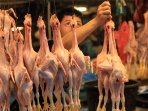 harga-daging-ayam-di-bandung-terus-melonjak_20150813_225718.jpg
