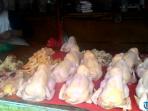 harga-daging-ayam-di-lampung-diprediksi-naik-50-saat-natal_20151109_144117.jpg