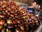 harga-jengkol-di-bandung-terus-menanjak_20150519_204515.jpg