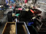 harga-kedelai-impor-naik_20210522_234407.jpg