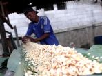 harga-kedelai-masih-mahal-ukuran-tempe-diperkecil_20210608_210405.jpg