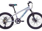 harga-sepeda-polygon-2262020.jpg