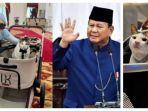 harga-stroller-Bobby-Kertanegara.jpg