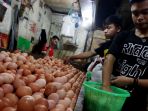 harga-telur-ayam-mulai-turun_20190615_212651.jpg