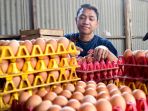 harga-telur-ayam-naik-drastis-harga-pakan-ayam-juga-naik_20220824_140222.jpg