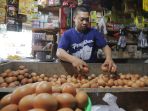 Jelang Ramadan Harga Telur Ayam Meroket Rp32 Ribu per Kg, Anak Buah Jokowi Ungkap Biang Keroknya