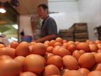 harga-telur-ayam-naik_20180712_185032.jpg