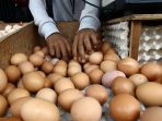 harga-telur-ayam-tembus-rp-29500-di-jakarta_20220822_163907.jpg