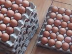 harga-telur-ayam-turun-capai-rp-22500kg_20210110_131923.jpg