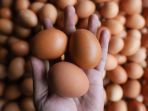 harga-telur-masih-tinggi_20220606_194247.jpg