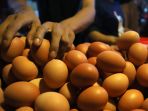 harga-telur-turun-di-masa-pandemi-covid-19_20200502_221025.jpg