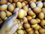 harga-telur-turun-di-masa-pandemi-covid-19_20200502_221111.jpg