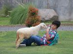 harga-tiket-masuk-taman-safari-prigen.jpg