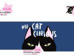 hari-kucing-sedunia-atau-international-cat-day-8-agustus-2022.jpg