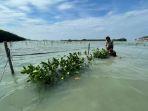 hari-laut-sedunia-terumbu-karang.jpg