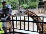 hari-raya-nyepi-pengunjung-bandung-zoological-garden-melonjak_20210315_065816.jpg