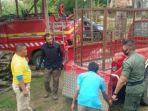 harimau-nakutin-warga-kerinci.jpg