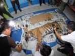 harimau-sumatera-mati-kena-jeratan_4_20180927_142715.jpg