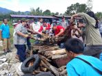 harimau-sumatera_20180305_131808.jpg