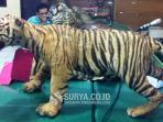 harimau_20151227_215429.jpg