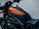 harley-davidson-livewire.jpg