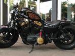 harley-davidson-sportster-48-milik-gading-marten.jpg