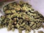 hashish-atau-ekstrak-ganja_20170119_141017.jpg