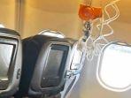 hawaiian-airline.jpg