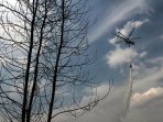 helikopter-water-bombing-padamkan-karlahut-di-pekanbaru_20160811_005942.jpg