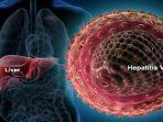 hepatitis-aa.jpg